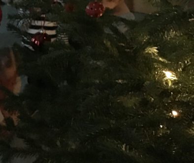 Weihnachten 22 5